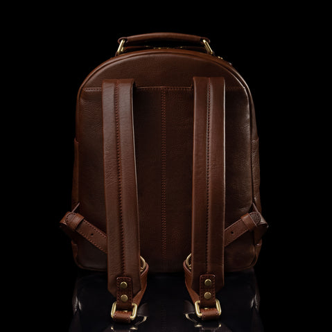 Von Baer Liberty stylish men's full-grain leather backpack in brown, back view