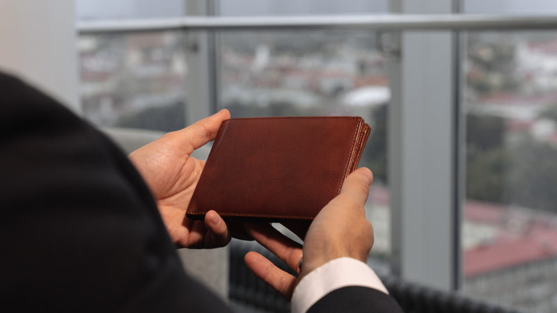 Von Baer Tallinn travel organizer luxury leather passport wallet, large wallet for men in brown, slider with nice view in Radisson Collection
