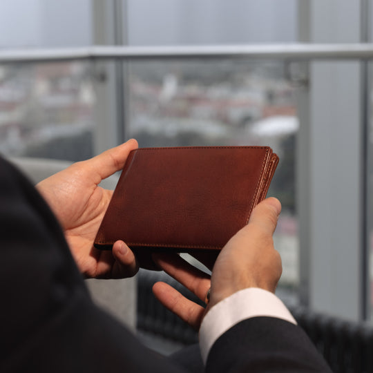 Von Baer Tallinn travel organizer luxury leather passport wallet, large wallet for men in brown, slider with nice view in Radisson Collection